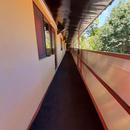 Casa Rebeca Otel Neptun Dış mekan fotoğraf