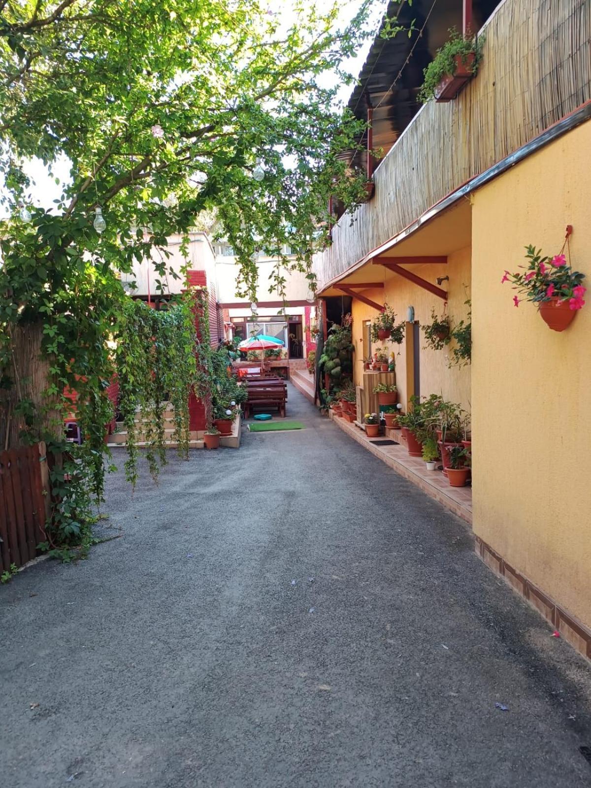 Casa Rebeca Otel Neptun Dış mekan fotoğraf